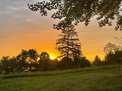 a tree in a field with a sunset in the background at Glamping od Amy in Ohrazenice