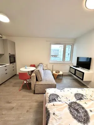 Gallery image of Modern Studio with Walk to O2 Arena and Metro in Prague
