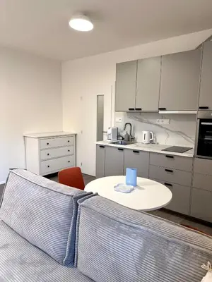 Gallery image of Modern Studio with Walk to O2 Arena and Metro in Prague