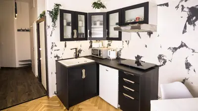 a kitchen with a black and white wall at Black & White Apartment Prague by Wenceslas Square and Muzeum in Prague