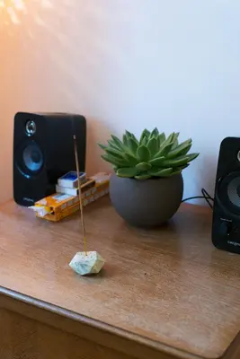 a table with a potted plant and a speaker at Victoria Design Stays - Apartment Slavojova in Prague