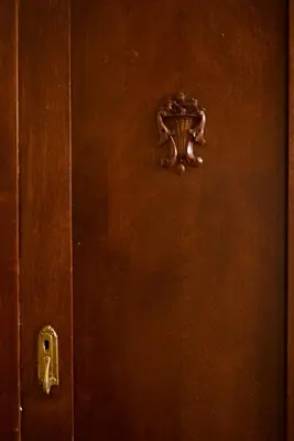 a wooden door with a door knocker on it at Victoria Design Stays - Apartment Slavojova in Prague