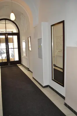 a hallway with a black carpet and a mirror at Apartment Josef in Prague