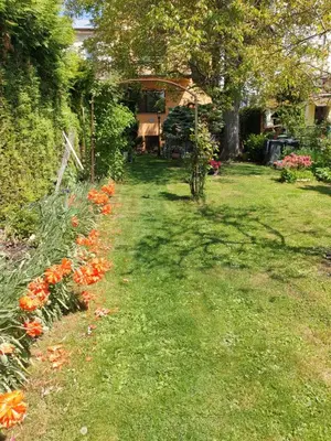 a garden with orange flowers in the grass at Pension Beránek in Prague