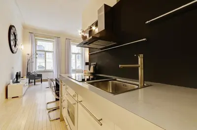 a kitchen with a stainless steel sink and black wall at Historic Centre Apartments VI in Prague