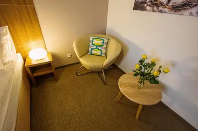 a room with a chair and a table with a vase of flowers at Hotel Na Šustně in Krupá