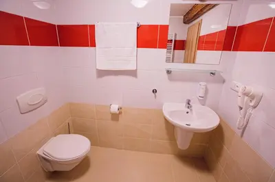 a bathroom with a toilet and a sink at Hotel Na Šustně in Krupá