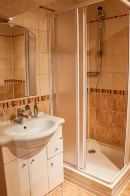 a bathroom with a sink and a shower at Penzion Kotvas in Milovice