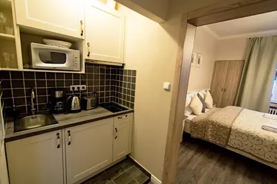 a small kitchen with a sink and a bed at Champagne Studio with Sauna in Prague