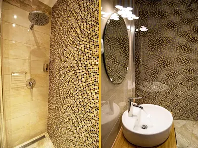 a bathroom with a sink and a shower at Champagne Studio with Sauna in Prague