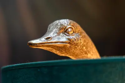 a figurine of a bird in a green bowl at Maiselova House in Prague