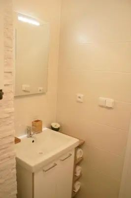 a bathroom with a sink and a mirror at Apartment Lea in Prague