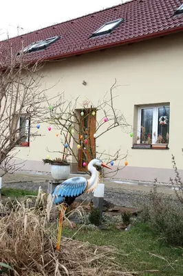 a peacock standing in front of a house at Rivendell Apartments in Prague