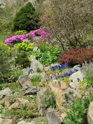 a garden with colorful flowers and rocks at Rivendell Apartments in Prague