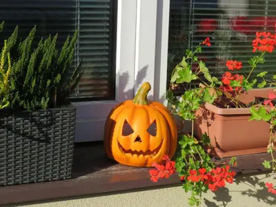a halloween pumpkin sitting on a porch next to potted plants at Rivendell Apartments in Prague