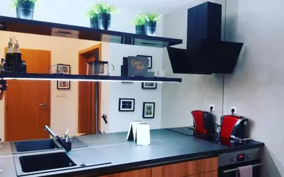 a kitchen with a sink and a counter top at Brunetti Design Apartment in Prague
