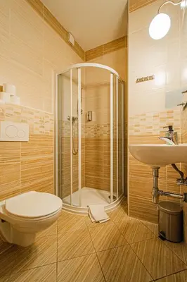 a bathroom with a shower and a toilet and a sink at Old Town Rybna Apt by Ruterra in Prague