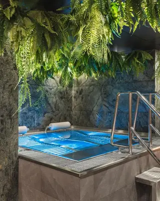 a jacuzzi tub in a room with plants at Royal Apartmány in Dobříš