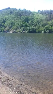 a large body of water with trees in the background at Penzion Paták in Kamýk nad Vltavou