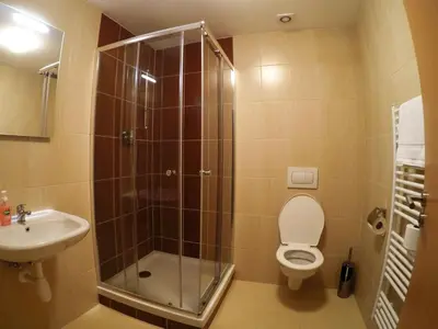 a bathroom with a shower and a toilet and a sink at Penzion U tri statkaru in Dobříš