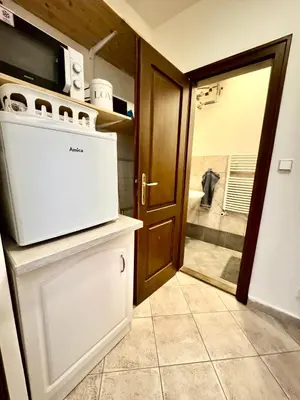 a kitchen with a washer and dryer and a bathroom at Apartmány Nerudova 36 in Prague