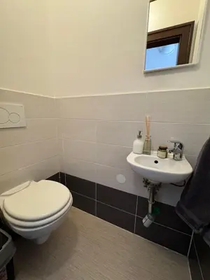 a bathroom with a toilet and a sink at Apartmány Nerudova 36 in Prague