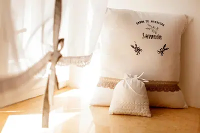 a pillow with a spider on it next to a window at Art Nouveau Apartment in Prague