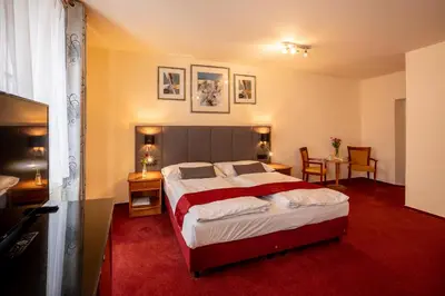 a bedroom with a large bed with a red carpet at Pension U Lilie in Prague