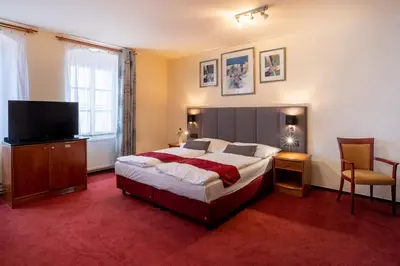 a bedroom with a large bed and a flat screen tv at Pension U Lilie in Prague