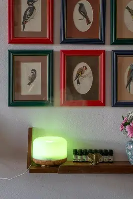 a room with a wall with pictures of birds at Victoria Design Stays - Apartment Rehorova in Prague