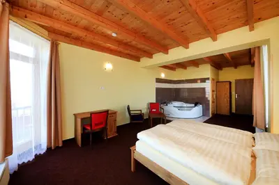 a bedroom with a bed and a sink and a tub at Penzion Folbr in Dlouhá Lhota