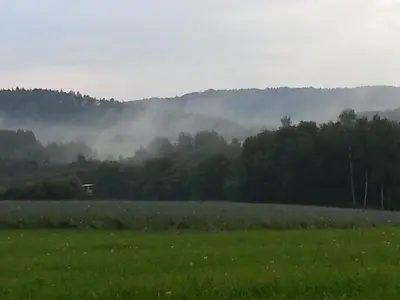 a green field with trees and fog in the background at Penzion Pod Houskou in Blatce