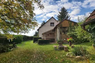 a house with a yard in front of it at Outdoor Adventure & Relaxation in Svinařov
