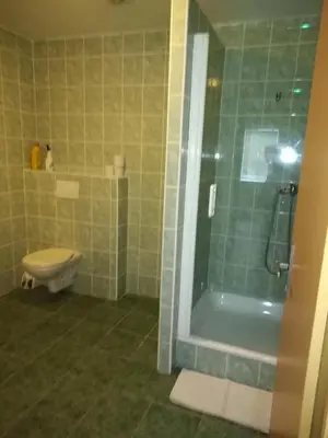 a bathroom with a shower and a toilet and a tub at Hotel BESTAR in Mladá Boleslav