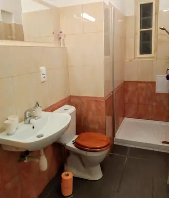 a bathroom with a toilet and a sink and a shower at Apartment Sense of Zizkov in Prague