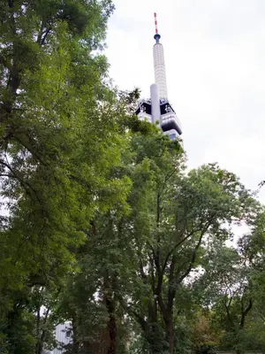 a tower in the background with trees in the foreground at Apartment Sense of Zizkov in Prague