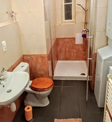 a bathroom with a toilet and a shower and a sink at Apartment Sense of Zizkov in Prague