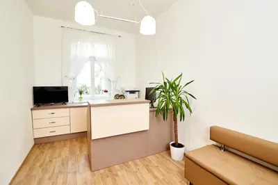an office with a desk and a potted plant at Kasablanka apartments in Prague