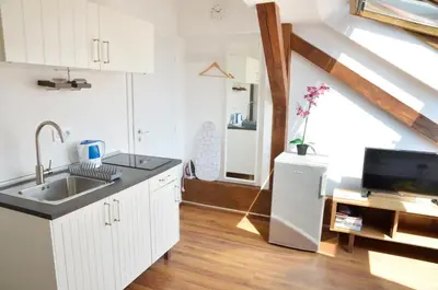 a kitchen with a sink and a refrigerator at The Republic Apartments in Prague