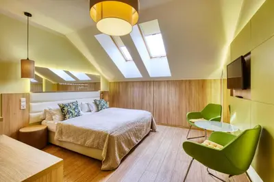 a bedroom with a bed and a skylight at Salvator Boutique Hotel vegan-friendly in Prague