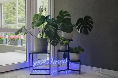 a plant sitting on a blue stand next to a window at Hotel AMITY in Prague