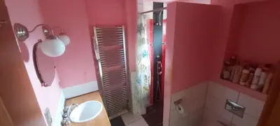 a pink bathroom with a shower and a sink at Chata u rybníka in Mšecké Žehrovice