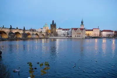 a city with a bridge and ducks in the water at Pawlansky Prague Apartments in Prague
