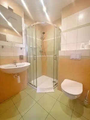 a bathroom with a shower and a toilet and a sink at Penziony Beneš in Prague