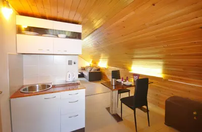 a kitchen with white cabinets and a wooden wall at Apartments Zbraslav in Prague