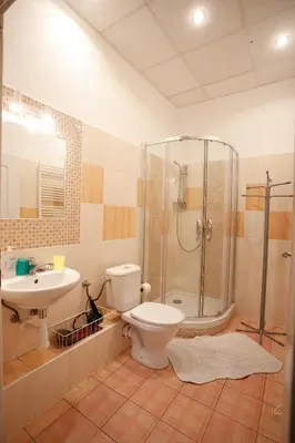a bathroom with a toilet and a shower and a sink at Miraculous Appartement in Prague