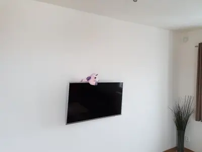 a tv on a wall with a stuffed animal on it at Apartments Anna and Ondra in Prague