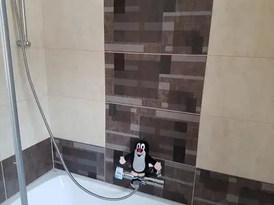 a bathroom with a penguin on the corner of a shower at Apartments Anna and Ondra in Prague