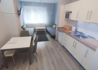 a small kitchen with a table and a dining room at Alisa Apartments in Kostomlaty