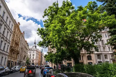 a city street with parked cars and a tree at Wishlist Prague Residences - Old Town Square in Prague